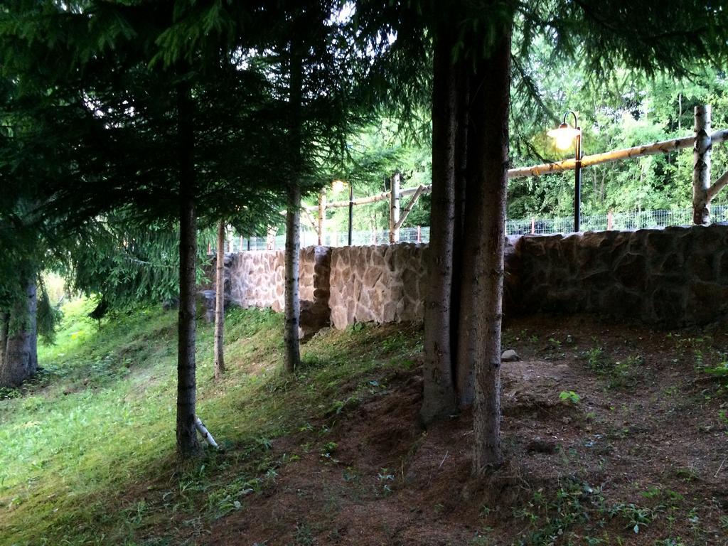 Casa Laur Cu Plaja Privata Hotel Colibiţa Екстериор снимка